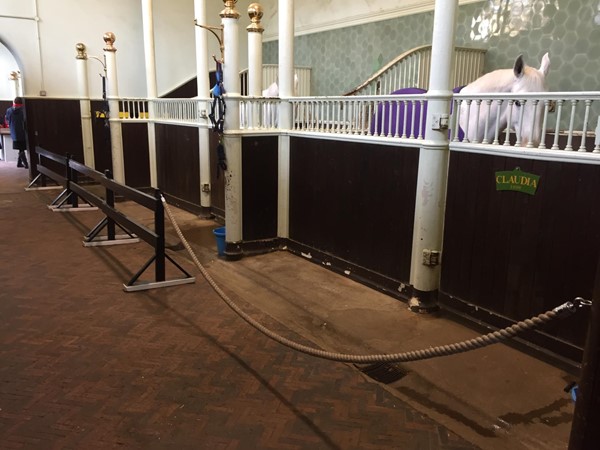 Stalls at the Royal Mews stables