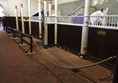 Stalls at the Royal Mews stables