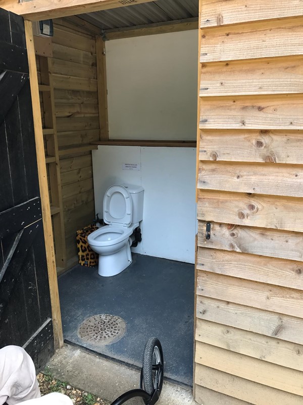 Level access toilet