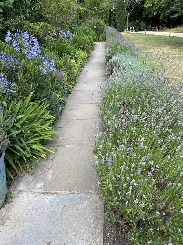 Walk ways from entrance to courtyard, accessible room 1 and the car parking