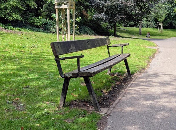 Image of bench on pathway