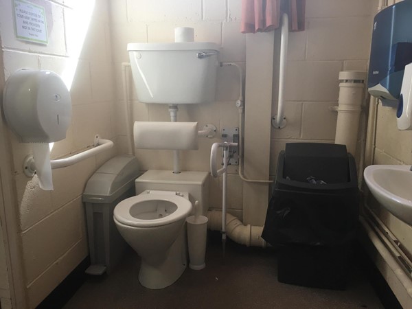 Image showing the accessible toilet.