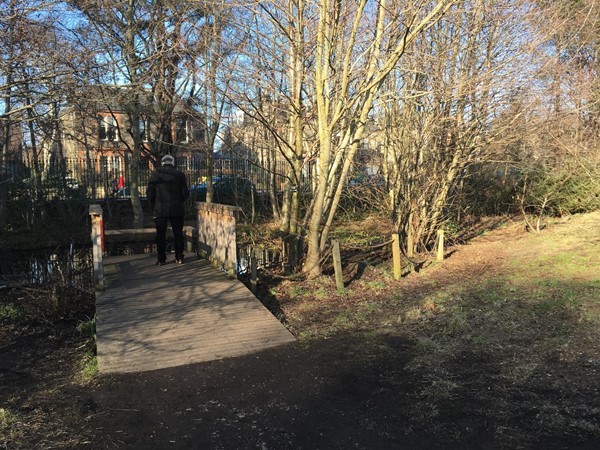 The wheelchair friendly viewing platform by the wild pond