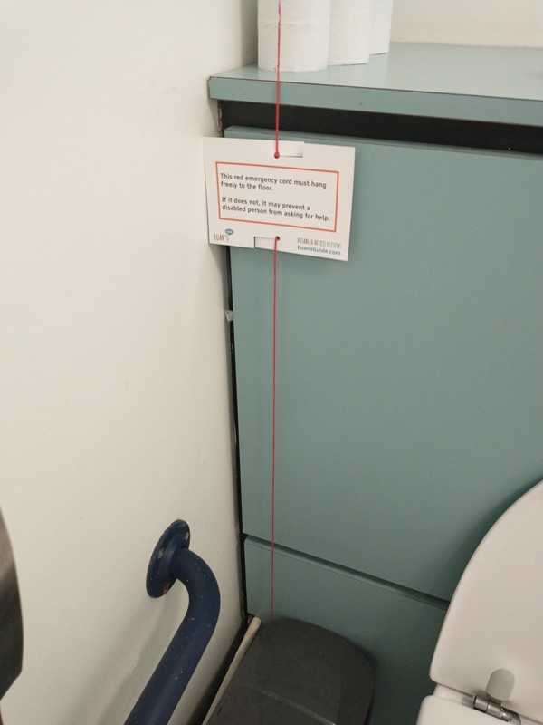 As described, emergency assistance cord in the corner under sanitary waste disposal bin.