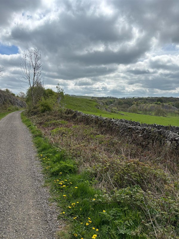 Image of a pathway