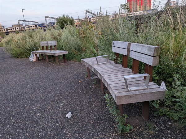 image of benches in the park