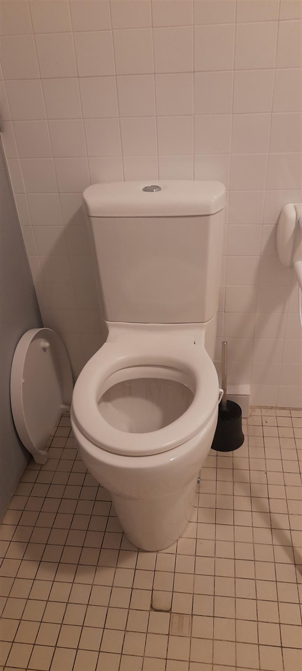 Image of an accessible toilet