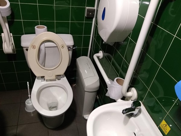 Picture of Accessible Toilet