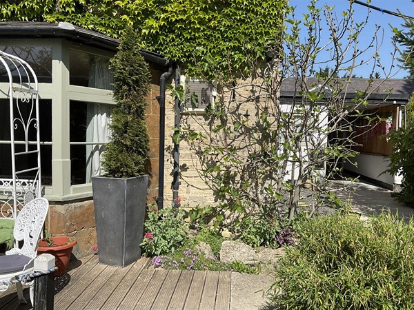 Image of a garden