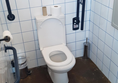 This is the "accessible" toilet