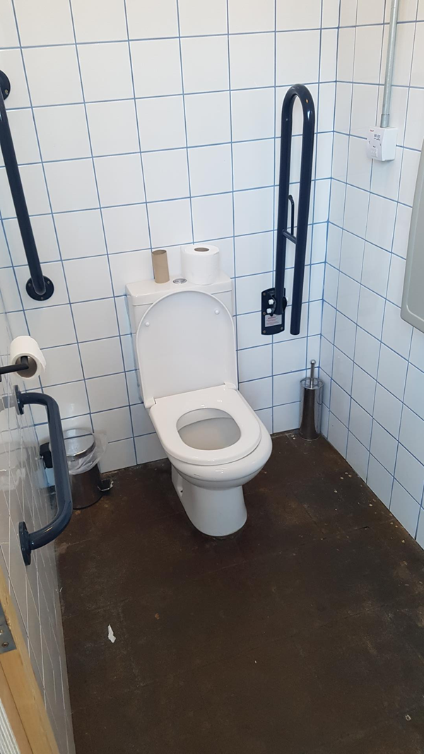 This is the "accessible" toilet