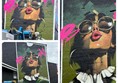 Photo of the artwork. It's a huge painting on a brick wall of a girl's face. She is slightly putting her head back and pouting, she has dark round sunglasses on (there is a pink capital B and M, her glasses make it the word BOOM. and is wearing big silver hooped earrings, a grey Adidas top and a white frilly collar showing at the neck. The background is green. It's a big regtangulst longways wall artwork