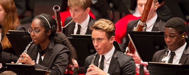 National Youth Orchestra of the USA article image