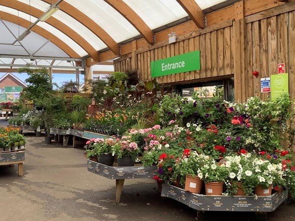 Picture of Dobbies Garden Centre Aylesbury