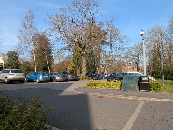 Image of card park