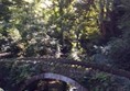 Picture of jesmond Dene Park