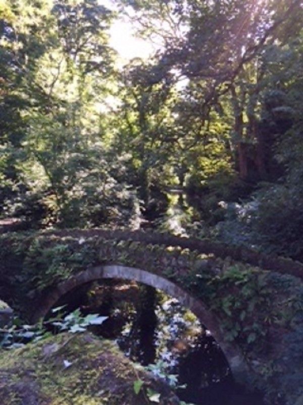 Picture of jesmond Dene Park