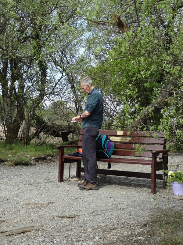 The new bench, Portinscale Reserve