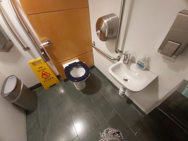 Accessible toilet on the Dress Circle level