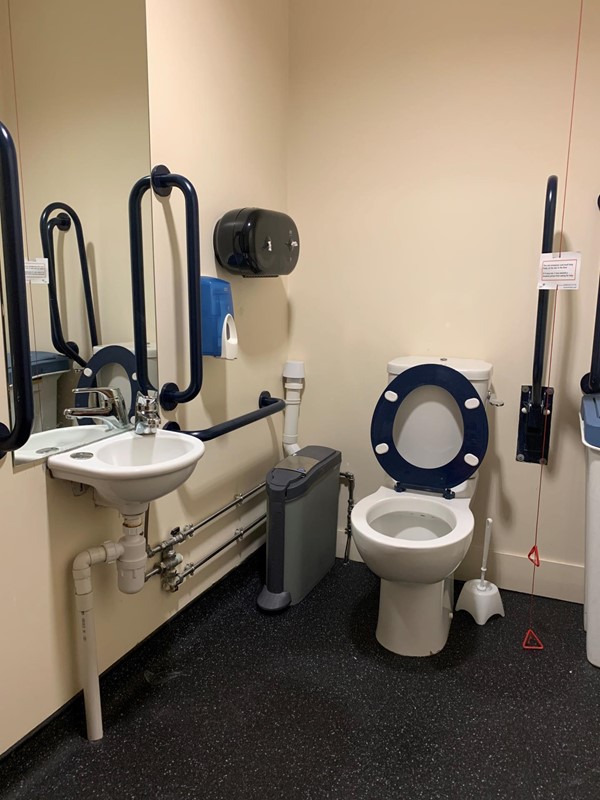 Accessible toilet showing handrails, red cord and sink