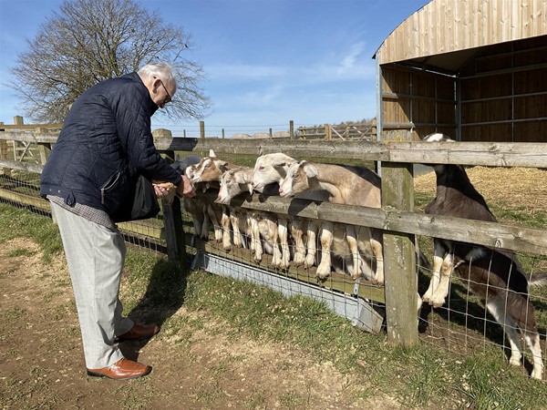 Image of a person feeding goats.
