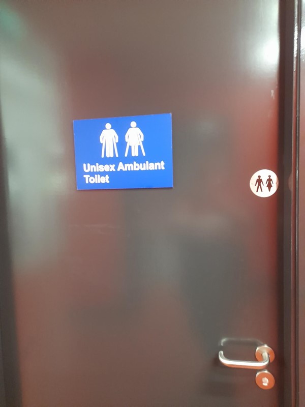 Picture of an accessible toilet door