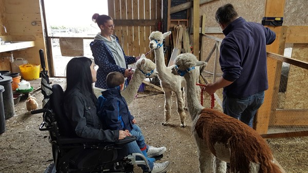 Picture of The Alpaca Trekking Centre, Thornhill