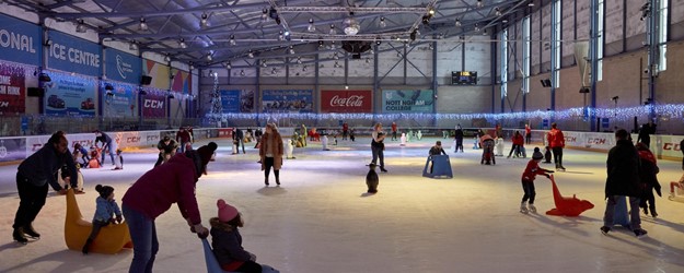 Relaxed Skating Party with Festive Characters  article image