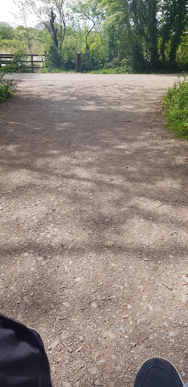 Picture of Cosmeston lakes country park