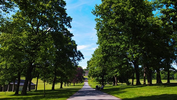 Path up to the manor house