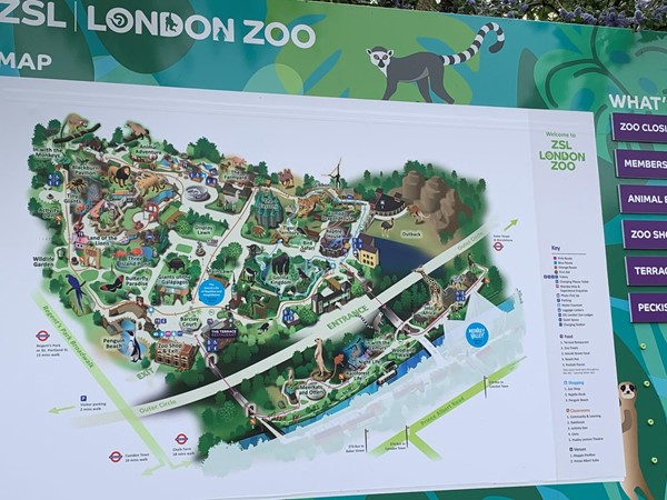 Picture of ZSL London Zoo map