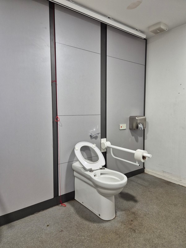 Image of a toilet and grab rail