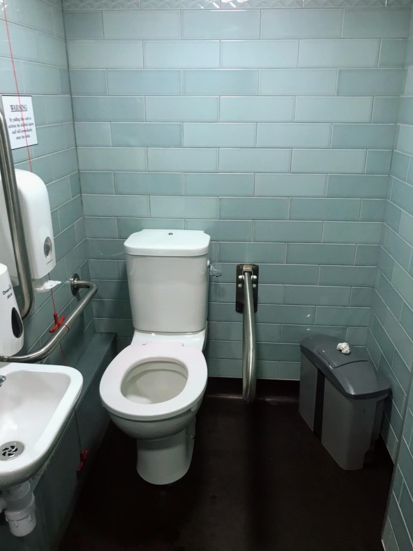 Picture of accessible toilet