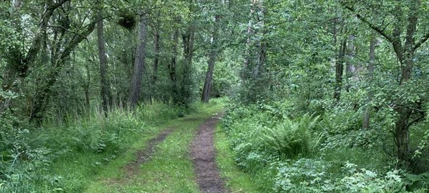 RSPB Reserve Loch Spynie