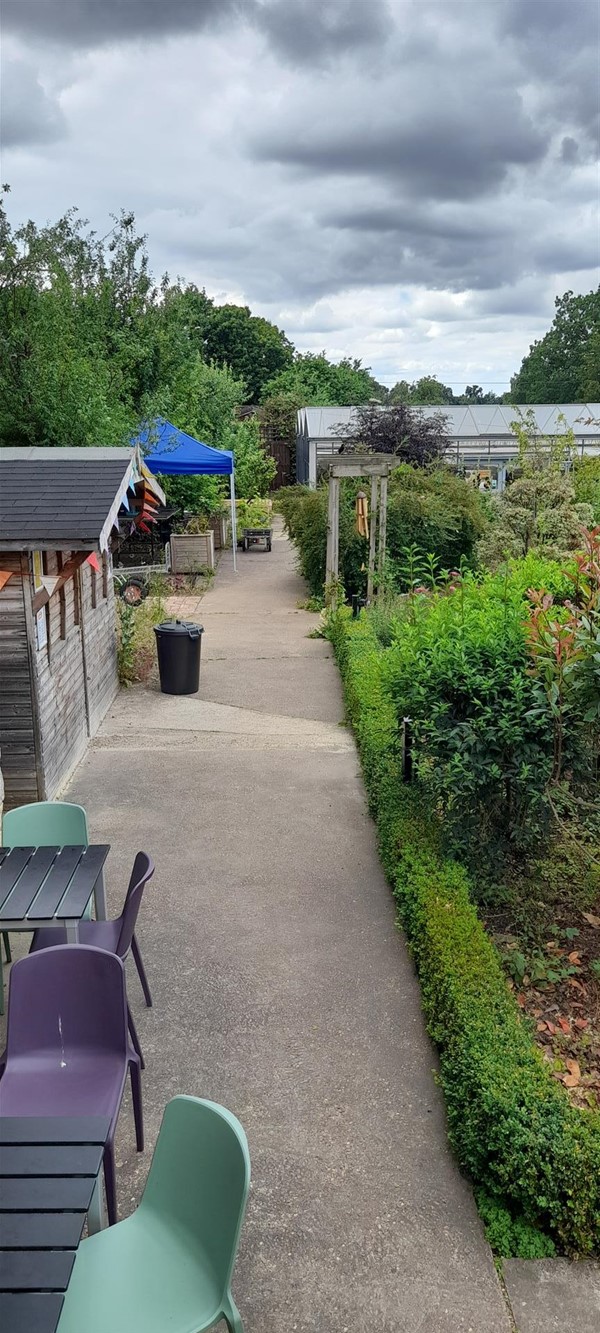 Image of a garden