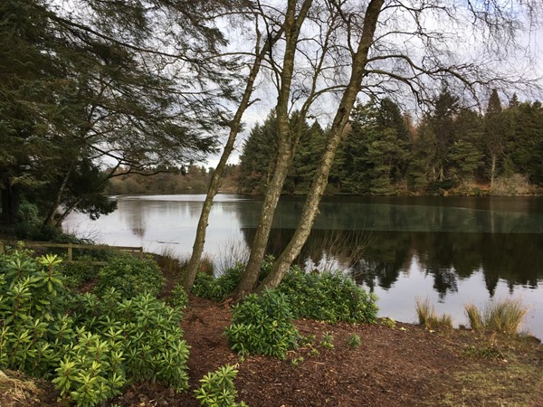 Views by the waters edge