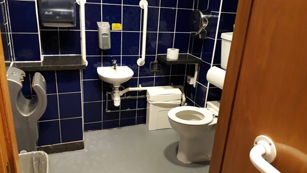 Unicorn Cafe accessible toilet.