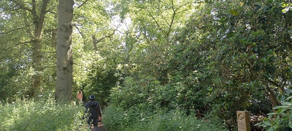Images of some trees and bushes.