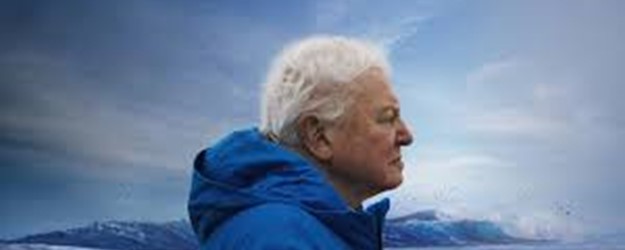 Ocean with David Attenborough (PG) (AD) article image