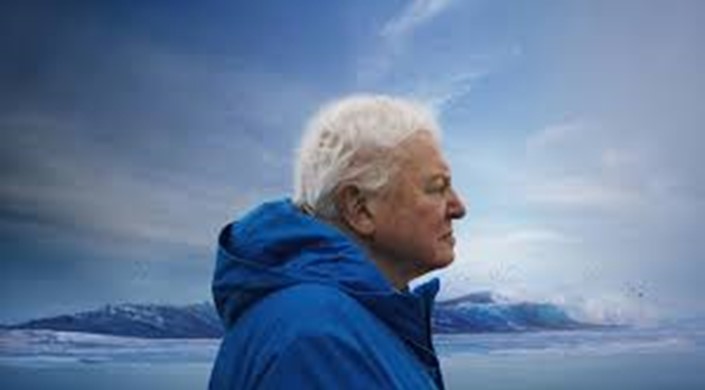 Ocean with David Attenborough (PG) (AD)