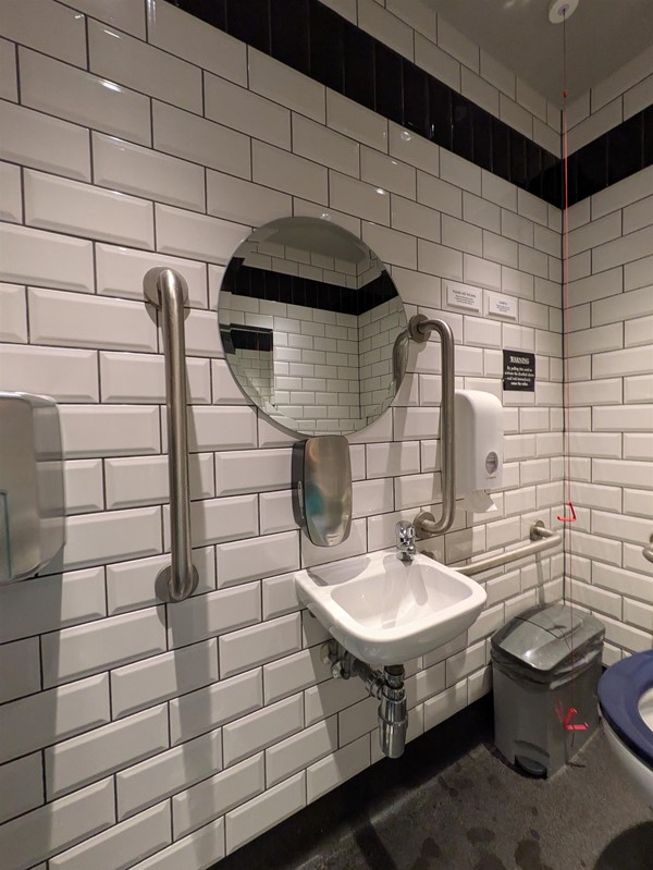 Image of sink with silver grabrails on either side