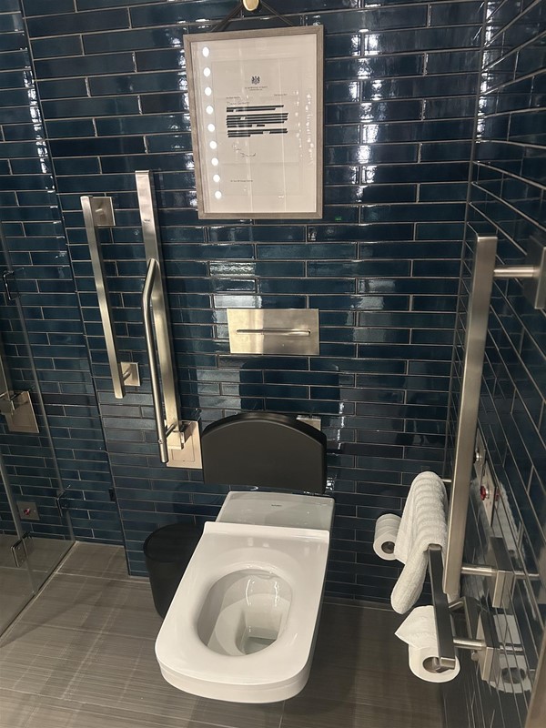 Image of a toilet with grabrails