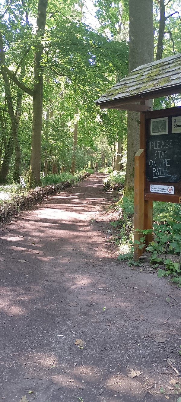 The paths were solid like this throughout.