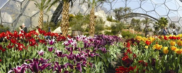 Disabled Access Day at the Eden Project article image