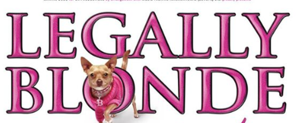 Audio described performance of 'Legally Blonde' article image