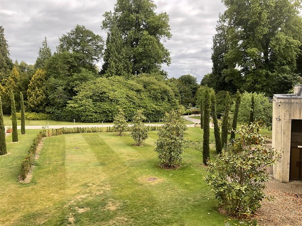 Image of a lawn