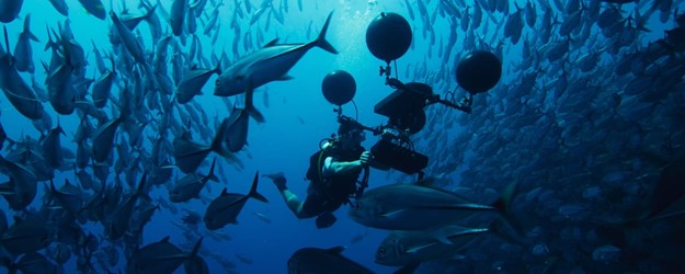 Family Film Club: Oceans: Our Blue Planet (U*) article image