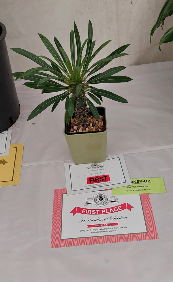 Winning plant
