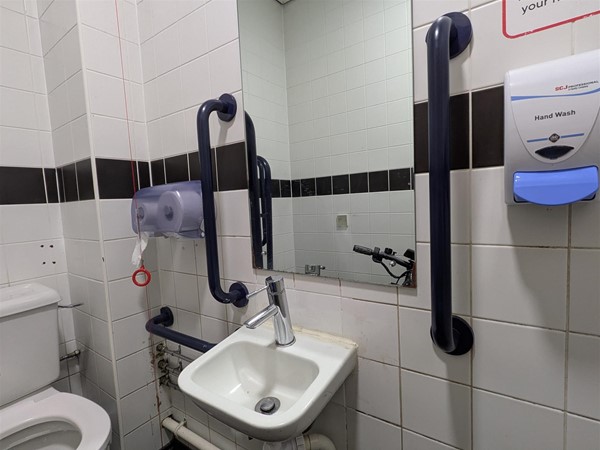 Image of sink in accessible toilet