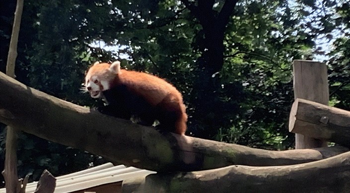 Birmingham Wildlife Conservation Park